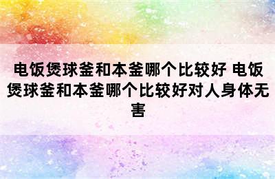 电饭煲球釜和本釜哪个比较好 电饭煲球釜和本釜哪个比较好对人身体无害